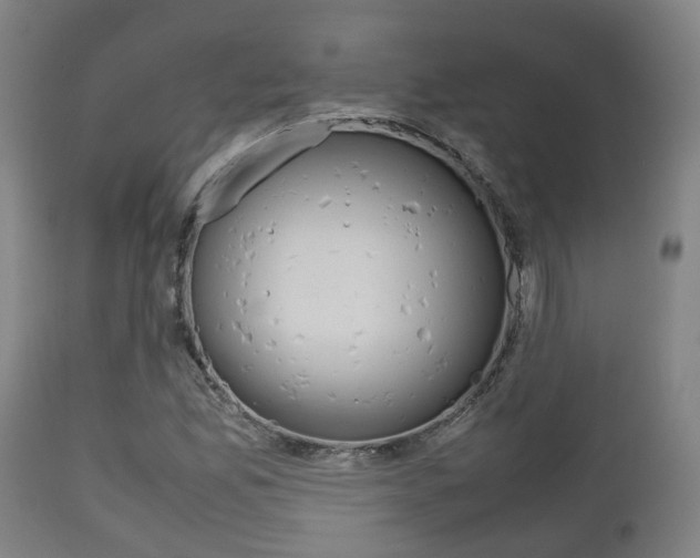 X0000111901165200907271003