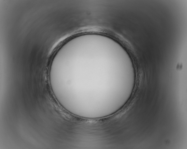 X0000111901166200907271003