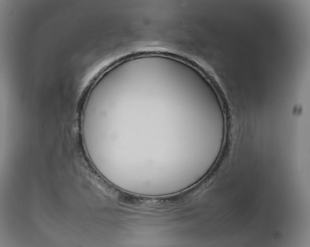 X0000111901167200907271003