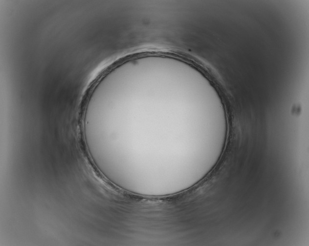X0000111901168200907271003