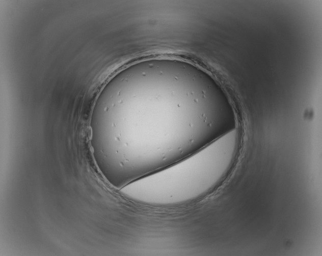 X0000111901169200907271003