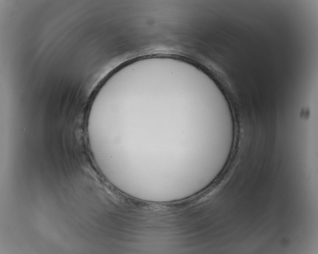 X0000111901170200907271003