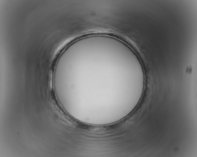 X0000111901171200907271003