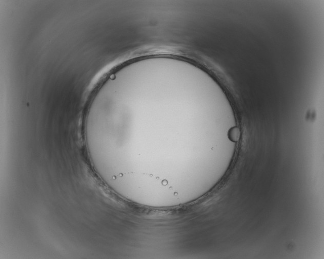 X0000111901174200907271003