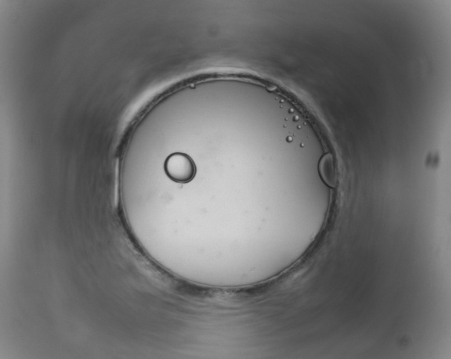 X0000111901175200907271003