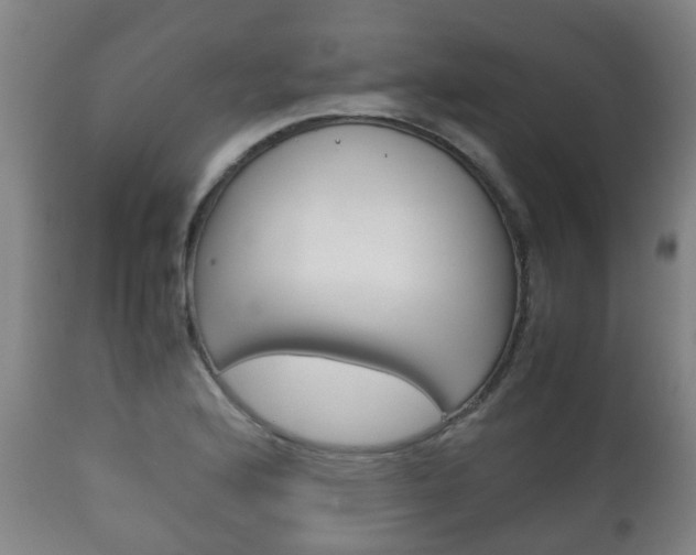 X0000111901176200907271003