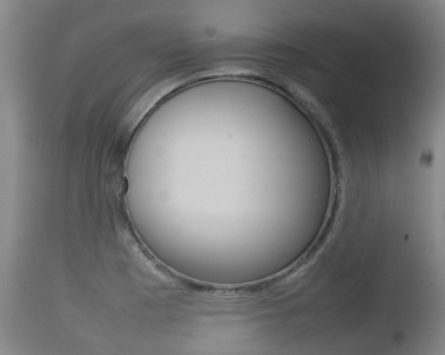 X0000111901177200907271003