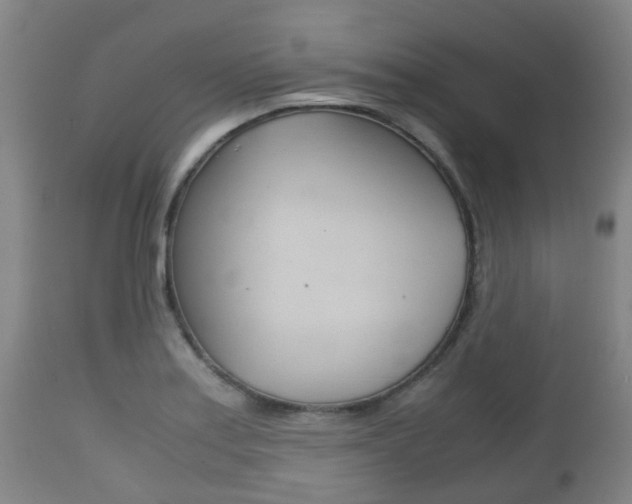X0000111901179200907271003