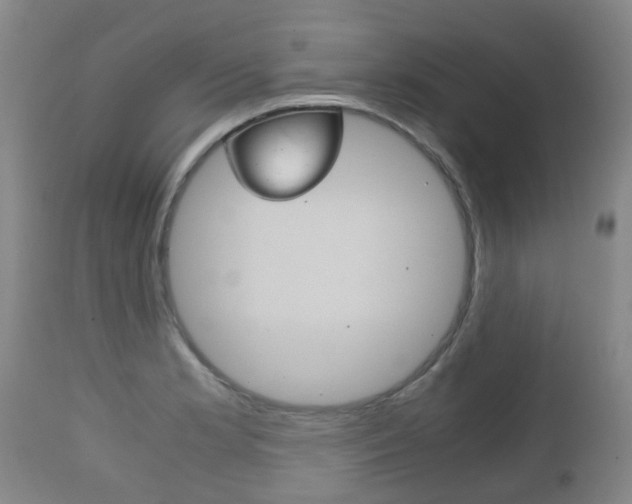 X0000111901181200907271003
