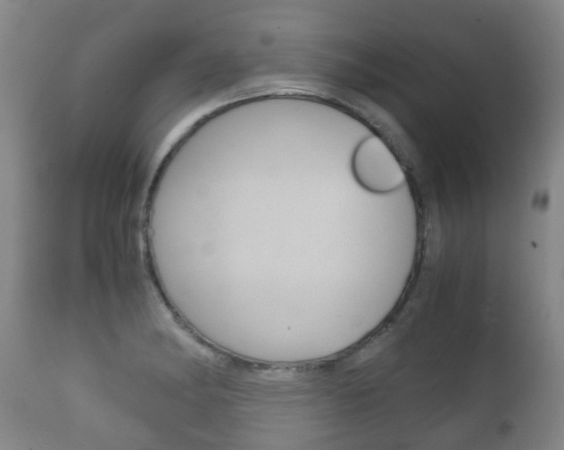 X0000111901182200907271003