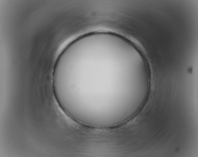 X0000111901183200907271003