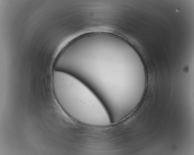 X0000111901184200907271003