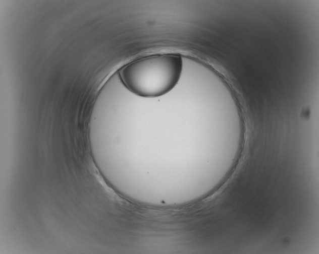 X0000111901185200907271003