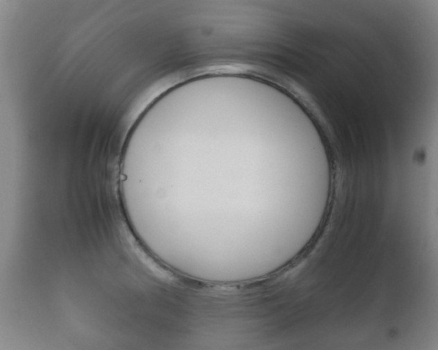 X0000111901186200907271003