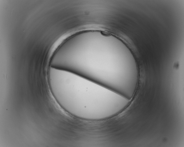 X0000111901188200907271003