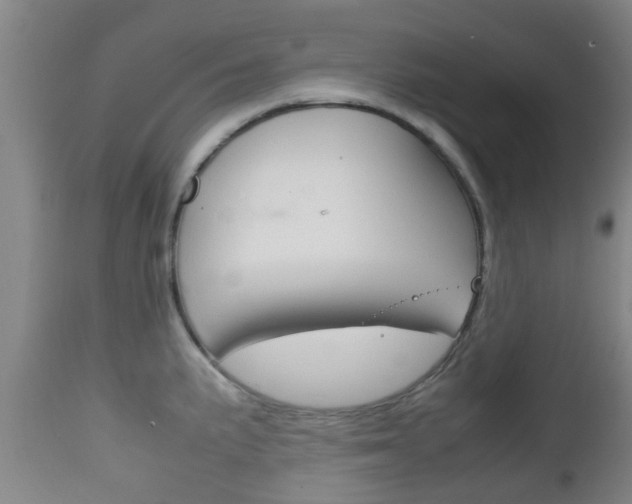 X0000111901191200907271003
