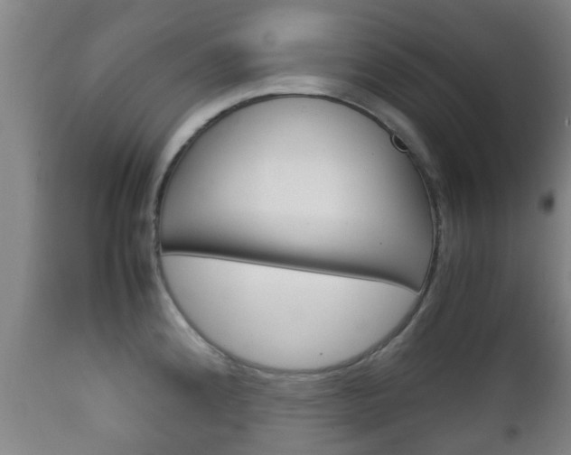 X0000111901192200907271003