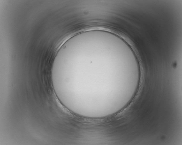 X0000111901193200907271003