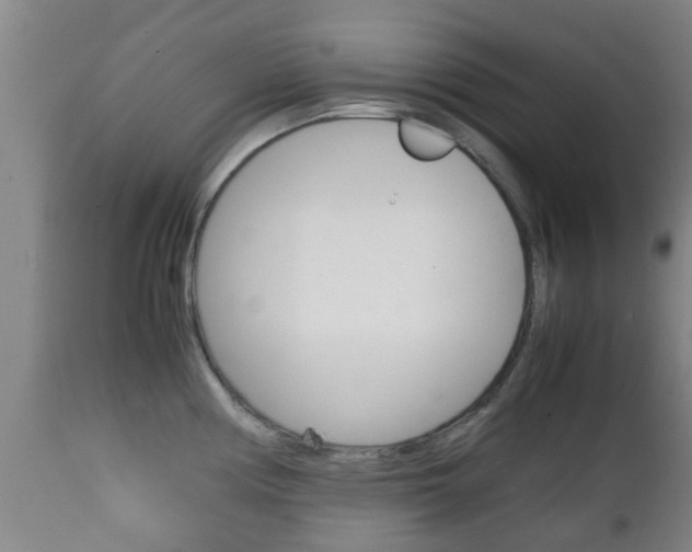 X0000111901194200907271003