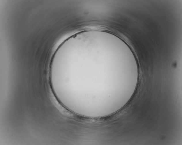 X0000111901195200907271003