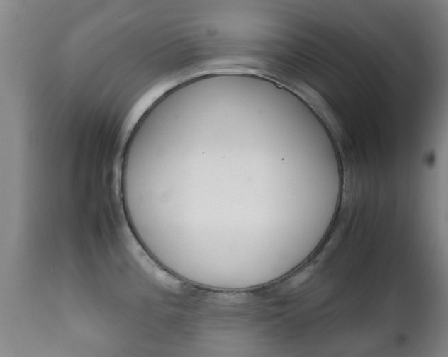 X0000111901196200907271003