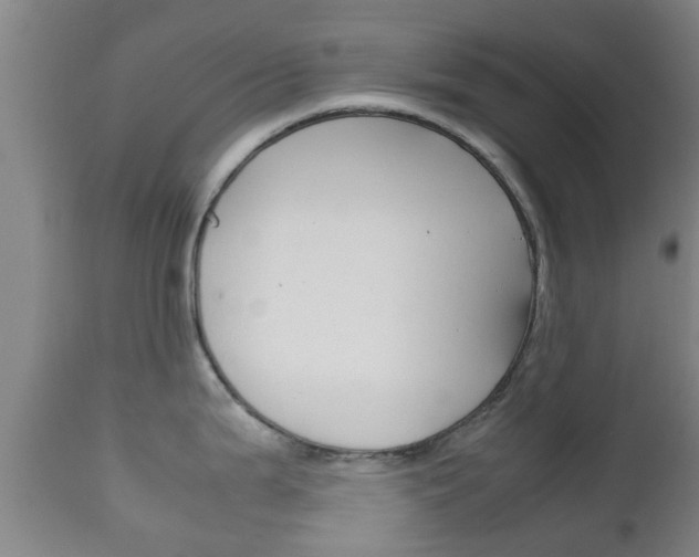 X0000111901199200907271003