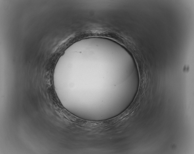 X0000111901205200907271002