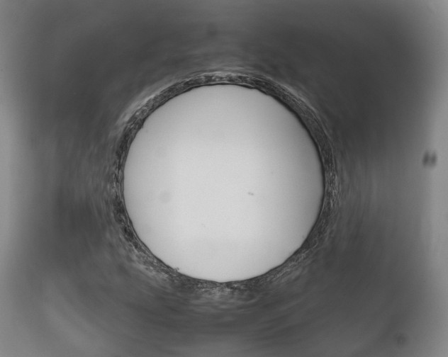 X0000111901207200907271002