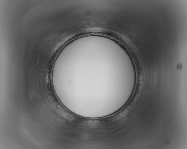 X0000111901209200907271002