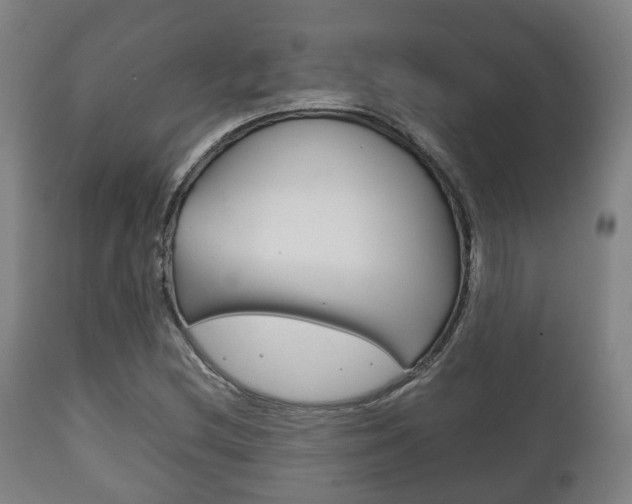 X0000111901212200907271002