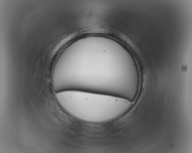 X0000111901213200907271002
