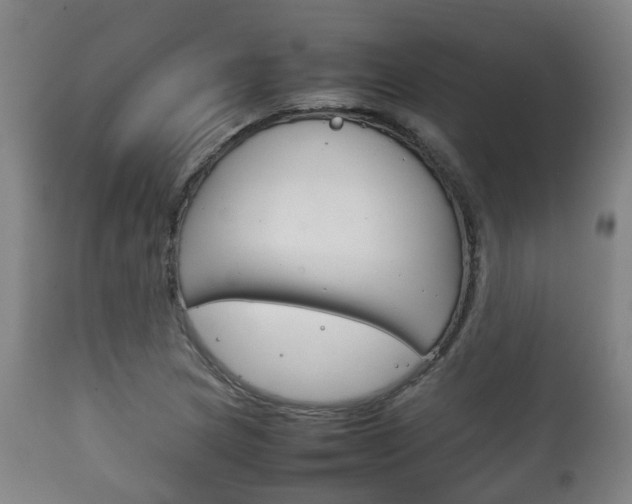X0000111901217200907271002