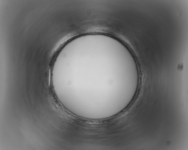 X0000111901219200907271002