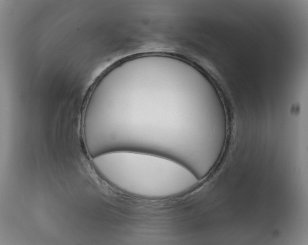 X0000111901220200907271002