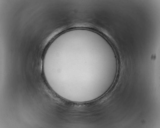 X0000111901221200907271002