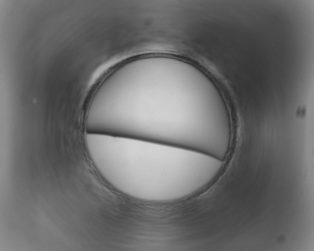 X0000111901222200907271002
