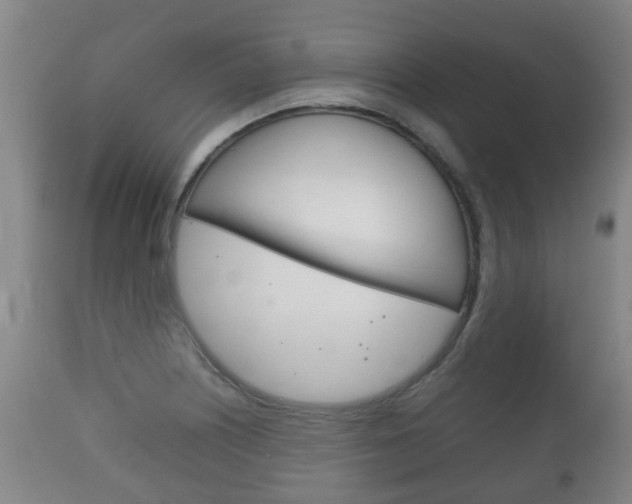 X0000111901226200907271002