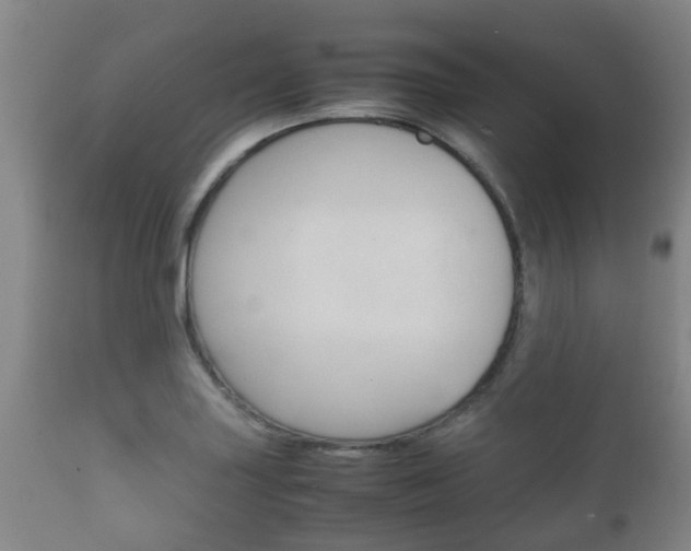 X0000111901227200907271002