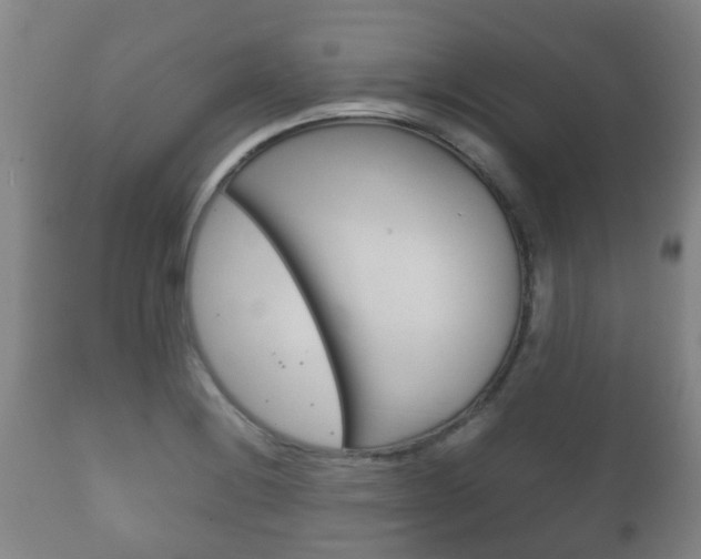 X0000111901228200907271002
