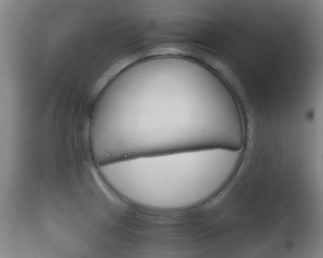 X0000111901233200907271002
