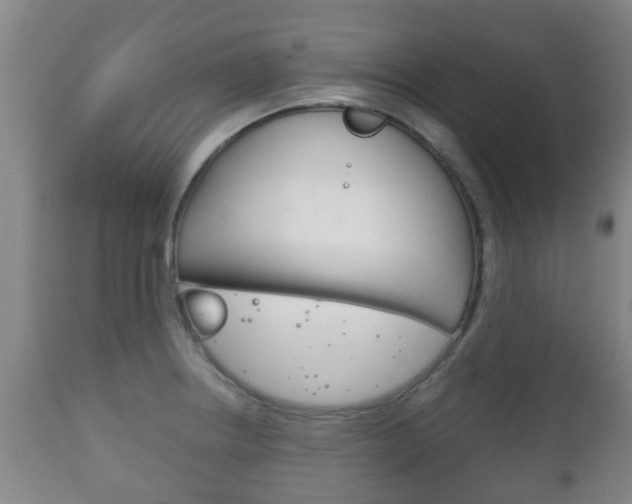 X0000111901234200907271002