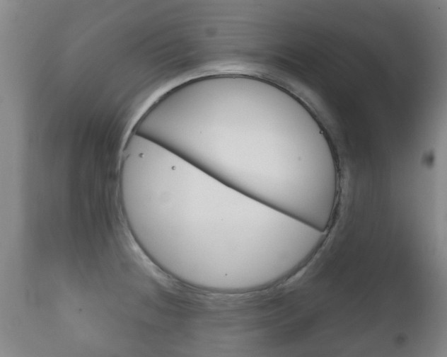 X0000111901236200907271002