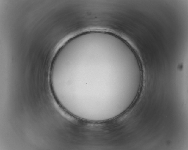X0000111901237200907271002