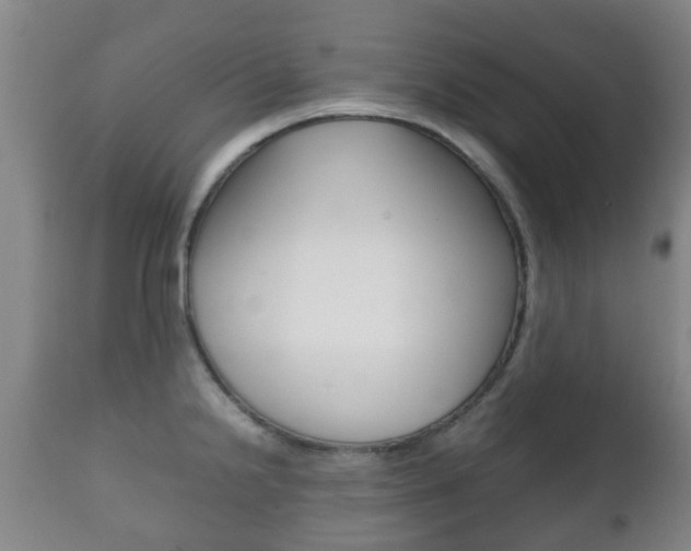 X0000111901238200907271002