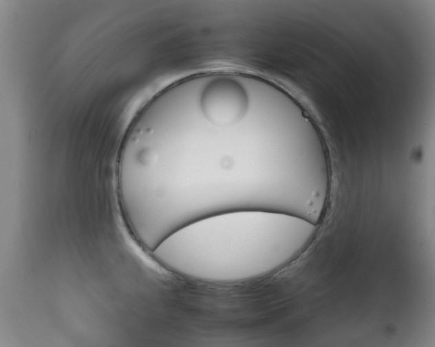 X0000111901239200907271002