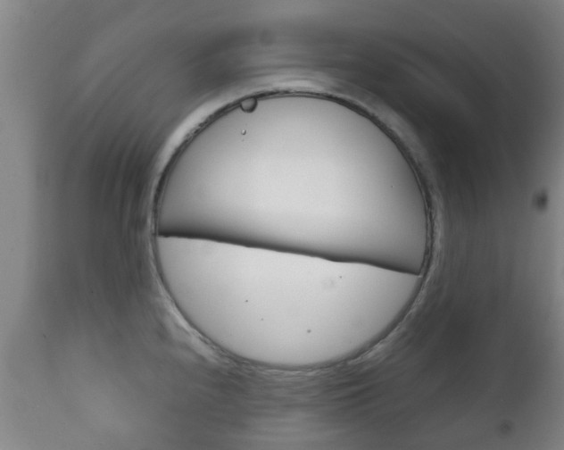 X0000111901240200907271002