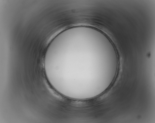 X0000111901241200907271002