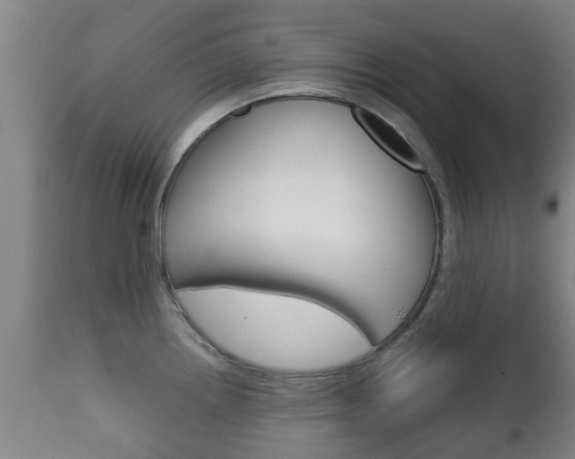 X0000111901242200907271002