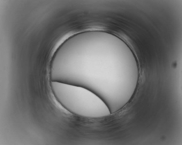X0000111901243200907271002
