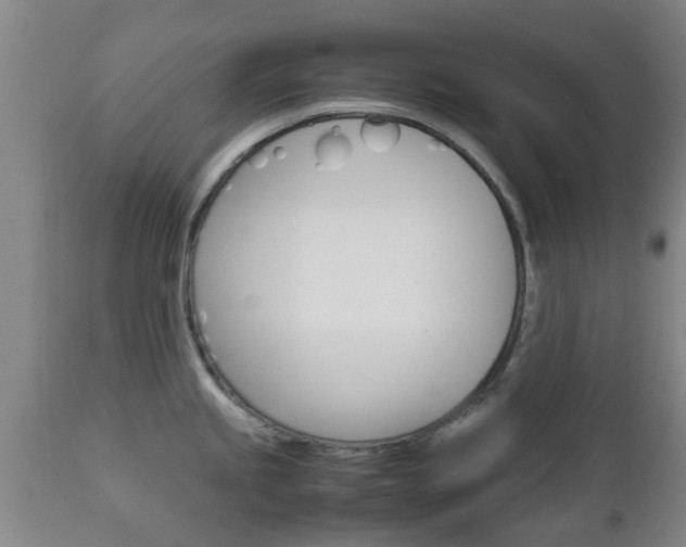 X0000111901245200907271002